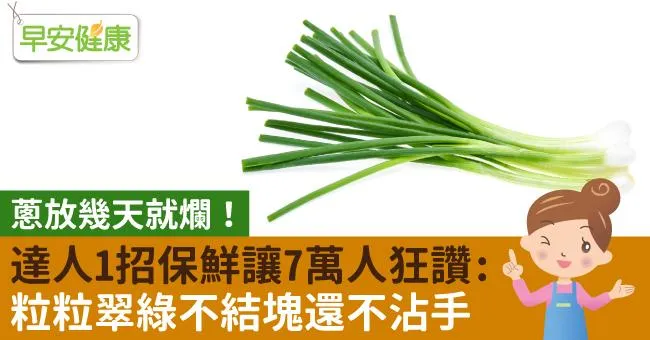 蔥放幾天就爛！達人1招保鮮讓7萬人狂讚：粒粒翠綠不結塊還不沾手