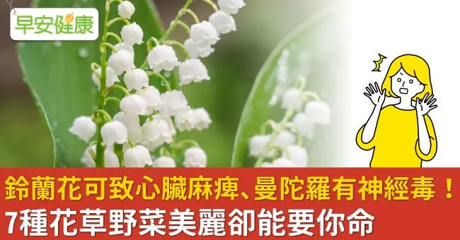 鈴蘭花可致心臟麻痺、曼陀羅有神經毒！7種花草野菜美麗卻能要你命