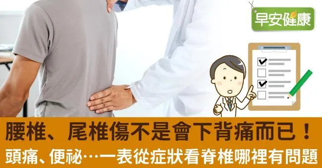 腰椎、尾椎傷不是會下背痛而已！頭痛、便祕…一表從症狀看脊椎哪裡有問題