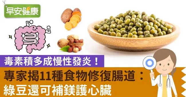 毒素積多成慢性發炎！專家揭11種食物修復腸道：綠豆還可補鎂護心臟