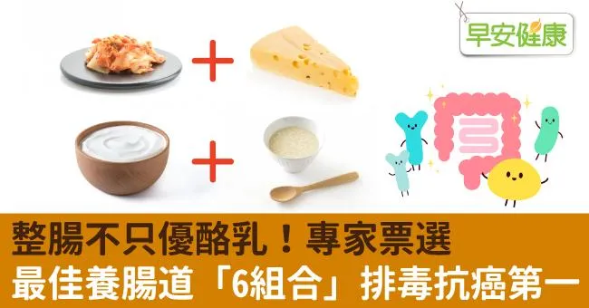整腸不只優酪乳！專家票選最佳養腸道「6組合」排毒抗癌第一