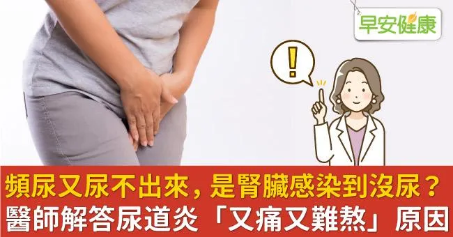 頻尿又尿不出來，是腎臟感染到沒尿？醫師解答尿道炎「又痛又難熬」原因
