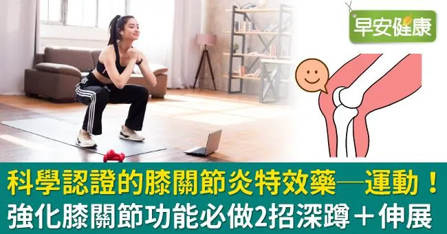 科學認證的膝關節炎特效藥─運動！強化膝關節功能必做2招深蹲＋伸展