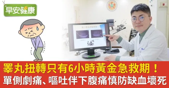 睪丸扭轉只有6小時黃金急救期！單側劇痛、嘔吐伴下腹痛慎防缺血壞死