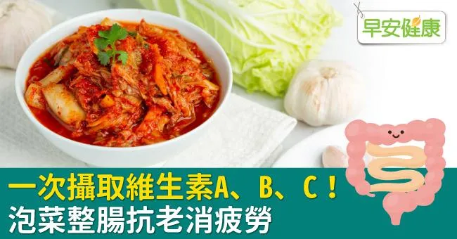 一次攝取維生素A、B、C！泡菜整腸抗老消疲勞