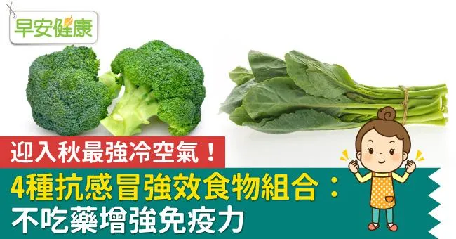 迎入秋最強冷空氣！4種抗感冒強效食物組合：不吃藥增強免疫力