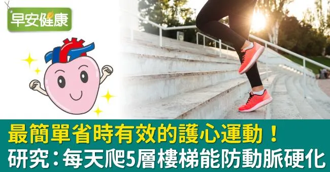 最簡單省時有效的護心運動！研究：每天爬5層樓梯能防動脈硬化