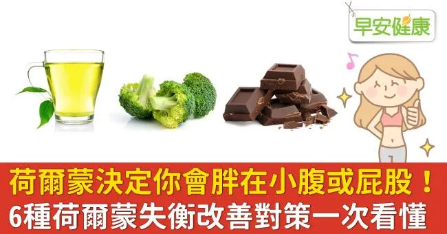 荷爾蒙決定你會胖在小腹或屁股！6種荷爾蒙失衡改善對策一次看懂