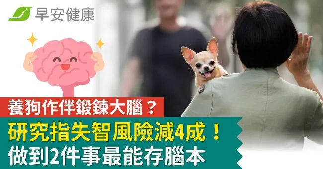 養狗作伴鍛鍊大腦？研究指失智風險減4成！做到2件事最能存腦本