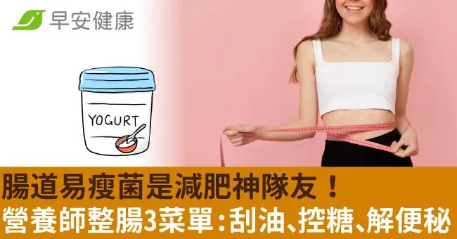腸道易瘦菌是減肥神隊友！營養師整腸3菜單：刮油、控糖、解便秘