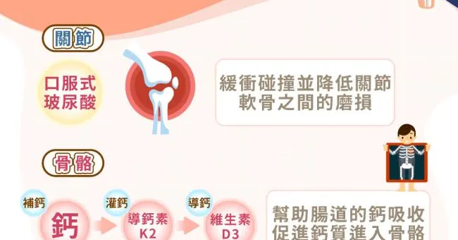 「鈣吸收」三部曲「小分子鈣 x 維生素D x 導鈣素K2」 鞏固關鍵到位！