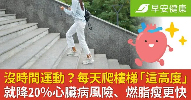 沒時間運動？每天爬樓梯「這高度」就降20％心臟病風險、燃脂瘦更快