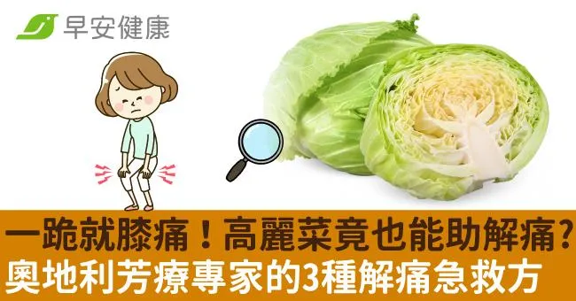 一跪就膝痛！高麗菜竟也能助解痛？奧地利芳療專家的3種解痛急救方