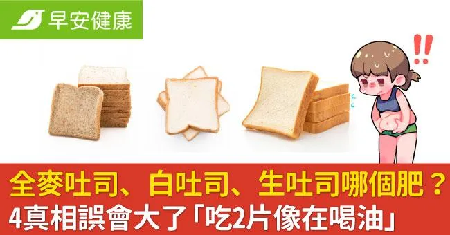 全麥吐司、白吐司、生吐司哪個肥？4真相誤會大了「吃2片像在喝油」