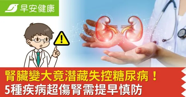 腎臟變大竟潛藏失控糖尿病！5種疾病超傷腎需提早慎防