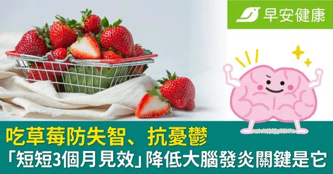 吃草莓防失智、抗憂鬱「短短3個月見效」降低大腦發炎關鍵是它