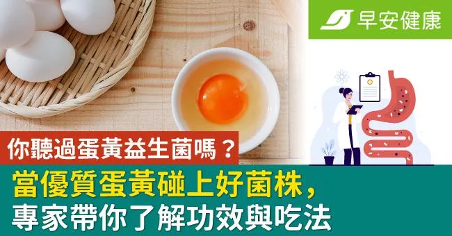 你聽過蛋黃益生菌嗎？當優質蛋黃碰上好菌株，專家帶你了解功效與吃法