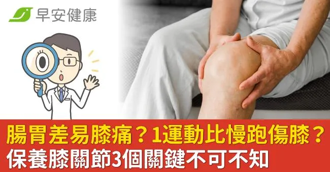 腸胃差也易膝痛？1運動比慢跑更傷膝？保養膝關節3個關鍵不可不知