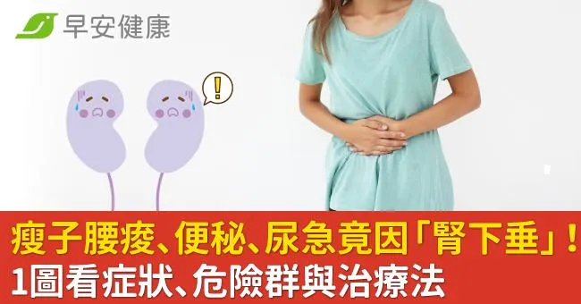 瘦子腰痠、便秘、尿急竟因「腎下垂」！1圖看症狀、危險群與治療法