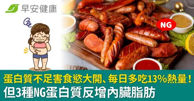 蛋白質不足害食慾大開、每日多吃13％熱量！但3種NG蛋白質反增內臟脂肪