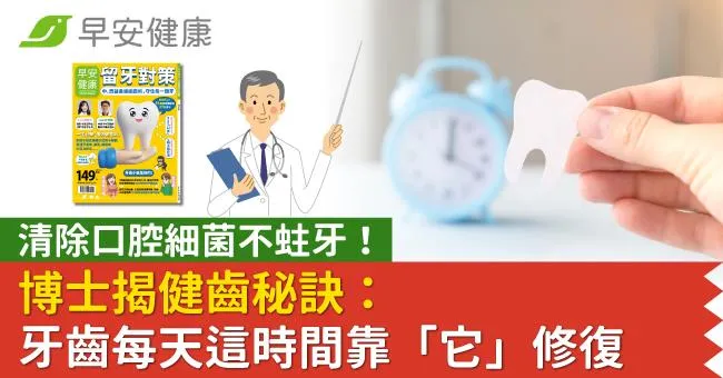 清除口腔細菌不蛀牙！博士揭健齒秘訣：牙齒每天這時間靠「它」修復