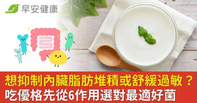 想抑制內臟脂肪堆積或舒緩過敏？吃優格先從6作用選對最適好菌