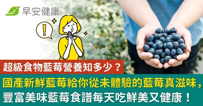 超級食物藍莓營養知多少？國產新鮮藍莓給你從未體驗的藍莓真滋味，豐富美味藍莓食譜每天吃鮮美又健康！