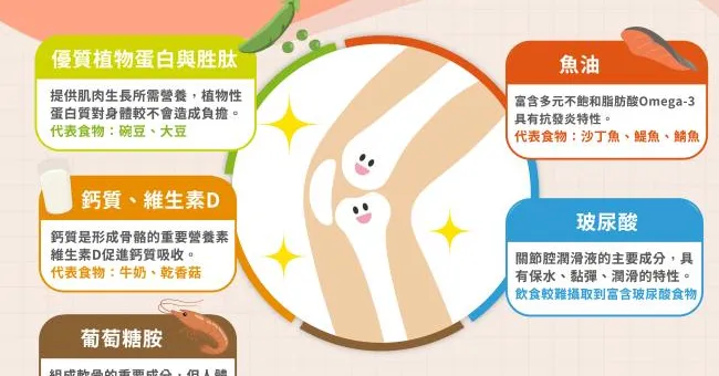 行動力也要凍齡！營養師揭密，肌肉、骨骼、關節全方位保養一次到位