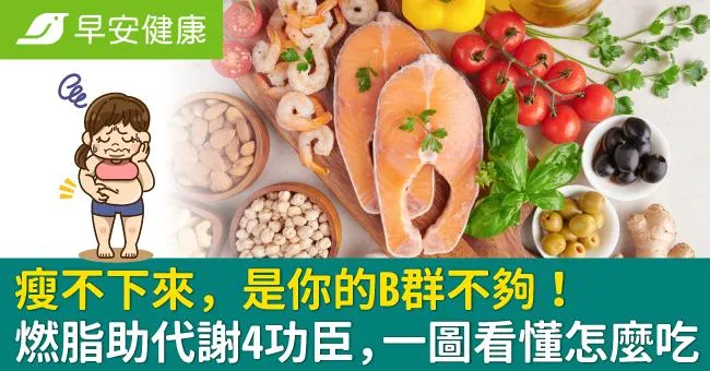 瘦不下來，是你的B群不夠！燃脂助代謝4功臣，一圖看懂怎麼吃