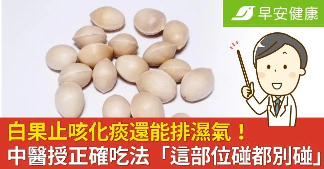 白果止咳化痰還能排濕氣！中醫授正確吃法「過量恐中毒」這部位碰都別碰