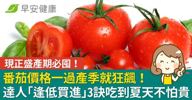 番茄價格一過產季就狂飆！達人「逢低買進」3秘訣吃到夏天不怕貴