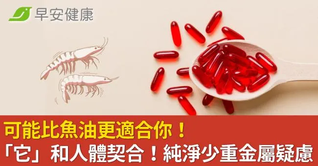 可能比魚油更適合你！「它」和人體契合！純淨少重金屬疑慮