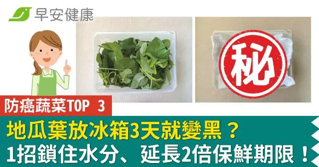 「防癌蔬菜前三名」地瓜葉放冰箱3天就變黑？1招鎖住水分、延長2倍保鮮期限！
