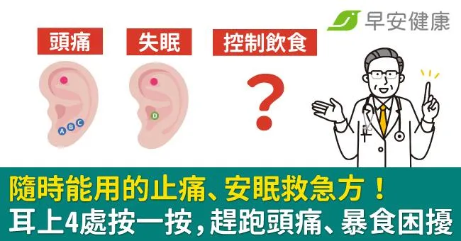 隨時能用的止痛、安眠救急方！耳上4處按一按，趕跑頭痛、暴食困擾