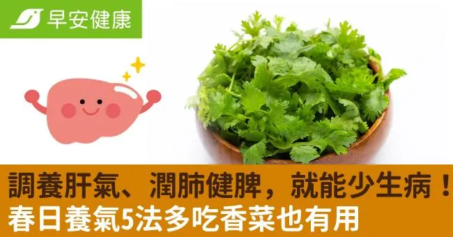 調養肝氣、潤肺健脾，就能少生病！春日養氣5法多吃香菜也有用