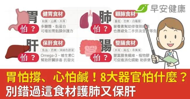 胃怕撐、心怕鹹！8大器官怕什麼？別錯過這食材護肺又保肝