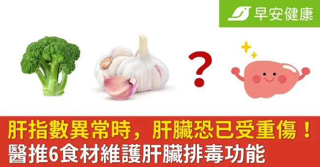 肝指數異常時，肝臟恐已受重傷！醫推6食材維護肝臟排毒功能
