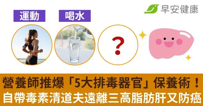 營養師推爆「5大排毒器官」保養術！自帶毒素清道夫遠離三高脂肪肝又防癌