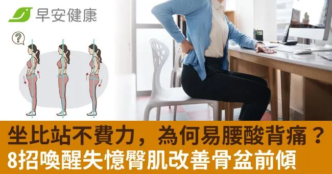 坐比站不費力，為何易腰酸背痛？8招喚醒失憶臀肌改善骨盆前傾
