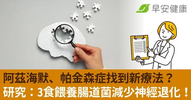 阿茲海默、帕金森症找到新療法？研究：3食物餵養腸道菌助減少神經退化！