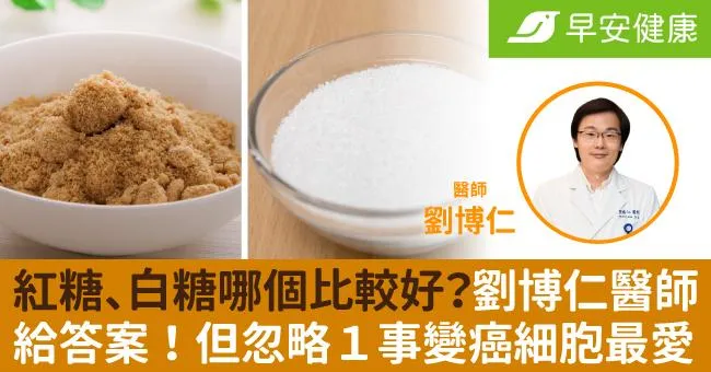 紅糖、白糖哪個比較好？劉博仁醫師給答案！但忽略1事變癌細胞最愛