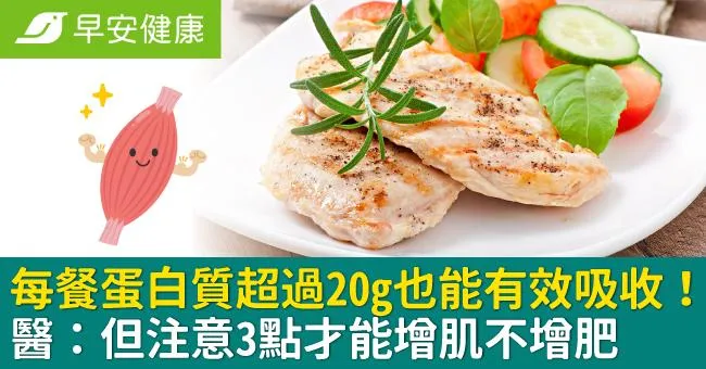 每餐蛋白質超過20g也能有效吸收！醫：但注意3點才能增肌不增肥