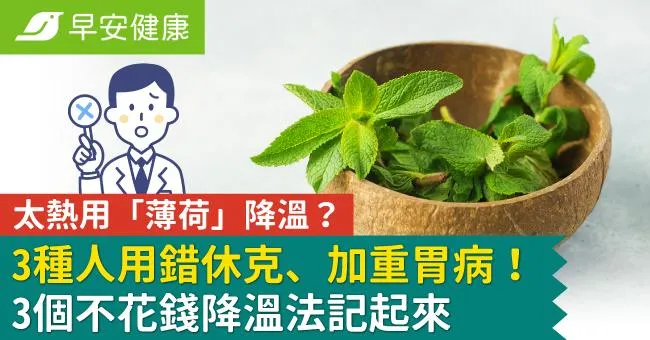 太熱用「薄荷」降溫？3種人用錯休克、加重胃病！3個不花錢降溫法記起來