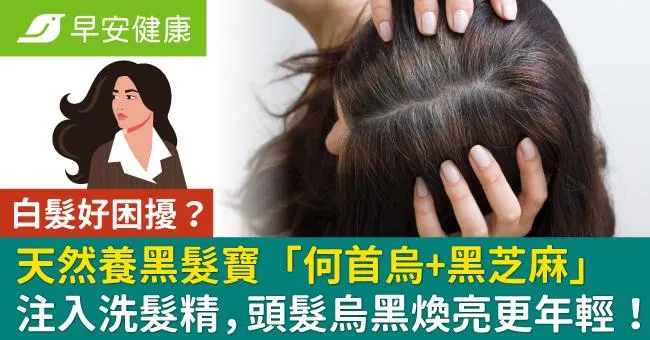 白髮好困擾？天然養黑髮寶「何首烏+黑芝麻」注入洗髮精，頭髮烏黑煥亮更顯年輕