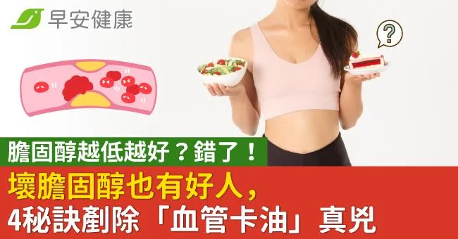 膽固醇越低越好？錯了！壞膽固醇也有好人，4秘訣剷除「血管卡油」真兇
