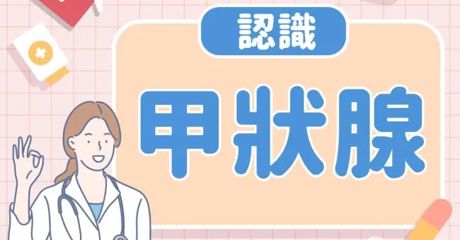 認識甲狀腺｜早安健康
