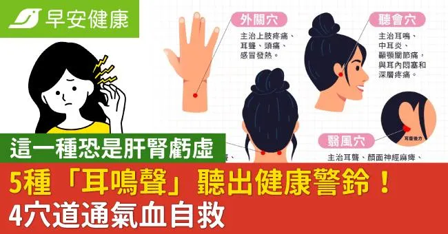 5種「耳鳴聲」聽出健康警鈴！這一種恐是肝腎虧虛，4穴道通氣血自救