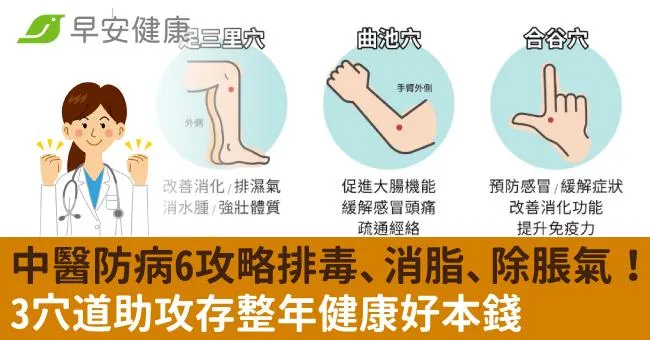 中醫防病6攻略排毒、消脂、除脹氣！3穴道助攻存整年健康好本錢