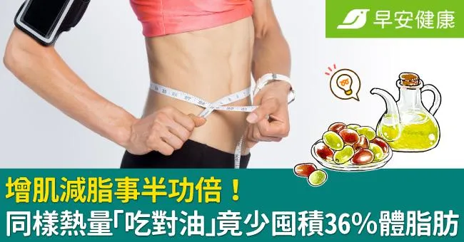 增肌減脂事半功倍！同樣熱量「吃對油」竟少囤積36％體脂肪