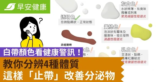 白帶顏色看健康警訊！教你分辨4種體質這樣「止帶」改善分泌物